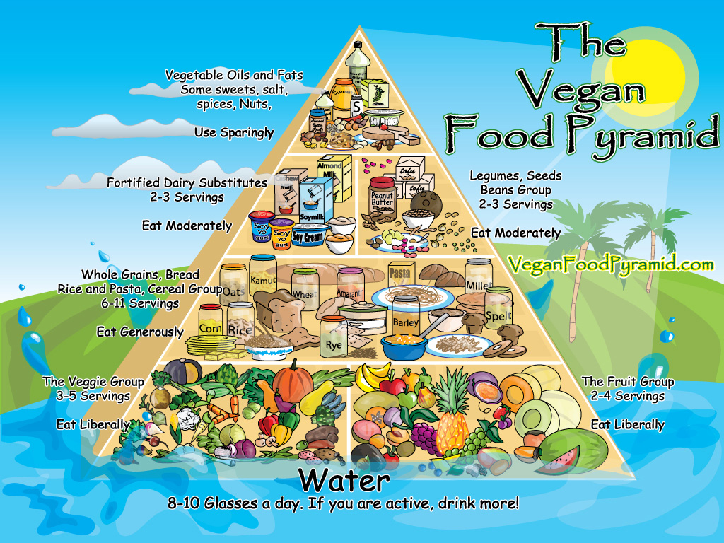 Who+developed+the+healthy+living+pyramid